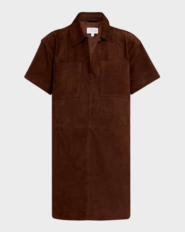 Tabby Suede Mini Dress
